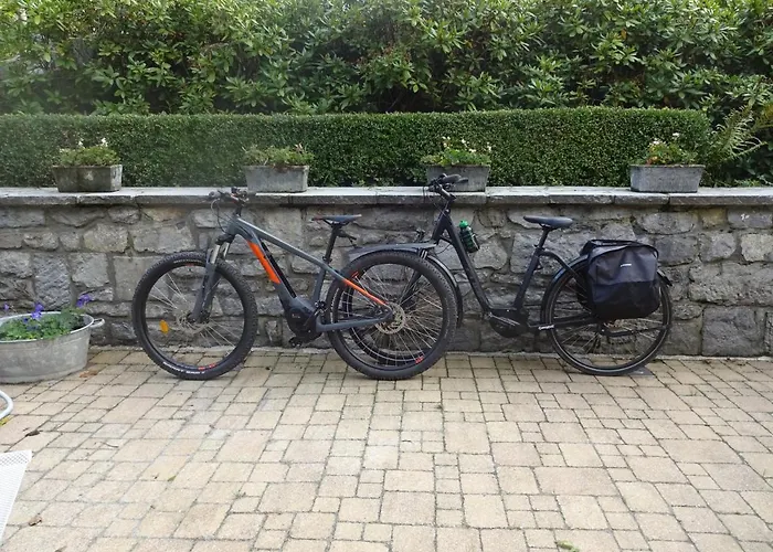 L'arbre De Vie Goesnes