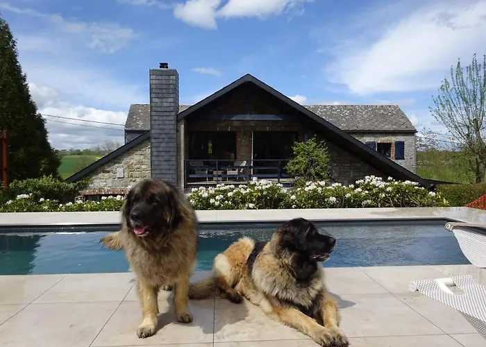 L'arbre De Vie Bed & Breakfast Goesnes